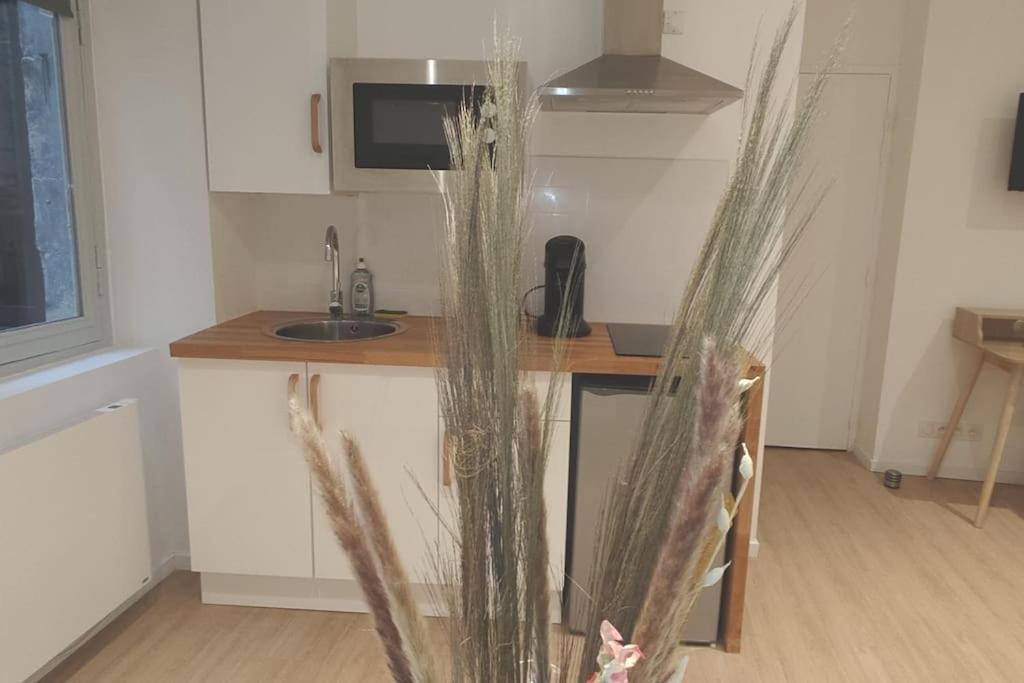 Residence Du Palais ヌヴェール 部屋 写真